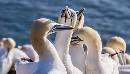 九游登录中心：一处入口，开启游戏新体验