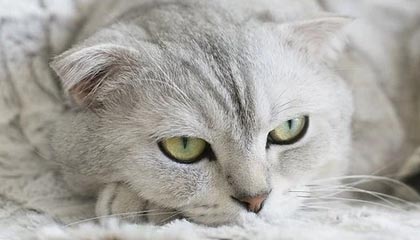 九游登录中心：一处入口，开启游戏新体验