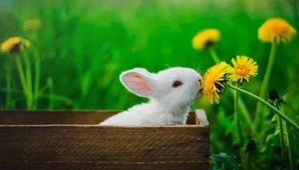 九游登录中心：一处入口，开启游戏新体验